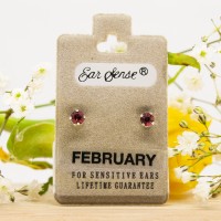 ΣΚΟΥΛΑΡΙΚΙΑ EAR SENSE FEBRUARY SILVER BIRTHSTONE ES 2