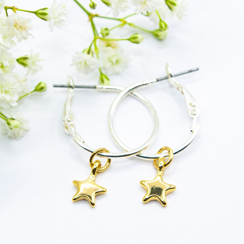 ΣΚΟΥΛΑΡΙΚΙΑ EAR SENSE TWO TONE STAR HOOP 20mm ES 121