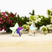ΣΚΟΥΛΑΡΙΚΙΑ EAR SENSE IRIDESCENT CRYSTAL STAR ES 75 ΣΚΟΥΛΑΡΙΚΙΑ EAR SENSE IRIDESCENT CRYSTAL STAR ES 75