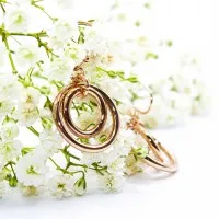 ΣΚΟΥΛΑΡΙΚΙΑ EAR SENSE DROP ROSE GOLD DOUBLE CIRCLES ES 20 ΣΚΟΥΛΑΡΙΚΙΑ EAR SENSE DROP ROSE GOLD DOUBLE CIRCLES ES 20
