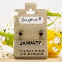 ΣΚΟΥΛΑΡΙΚΙΑ EAR SENSE JANUARY SILVER BIRTHSTONE ES 1
