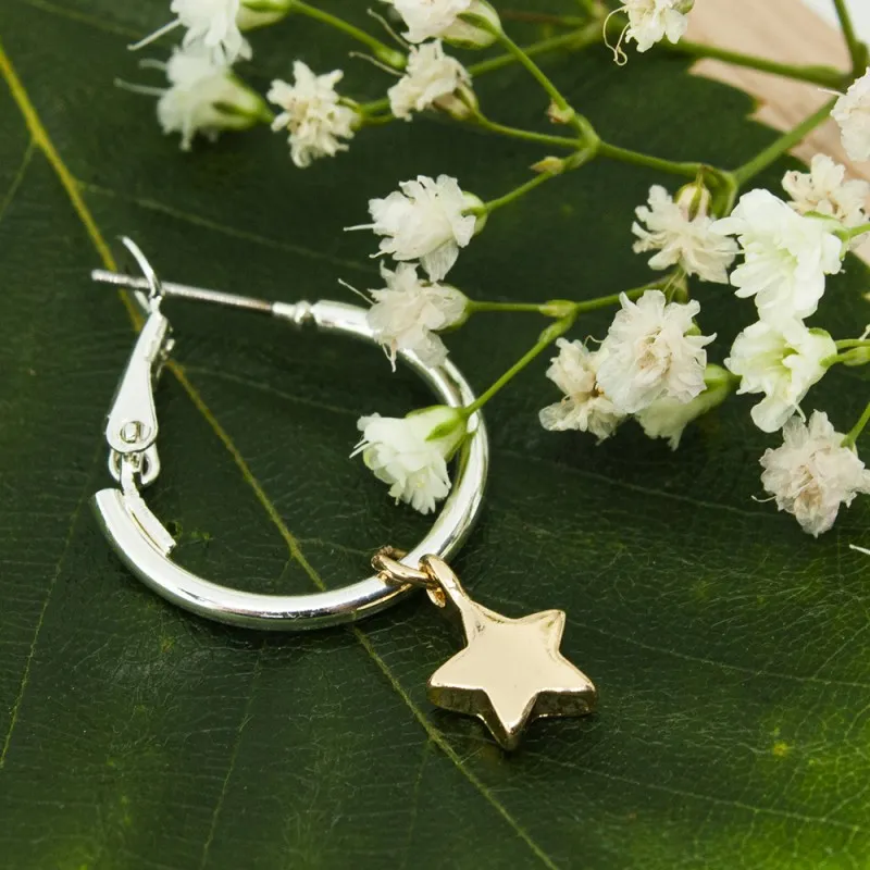 ΣΚΟΥΛΑΡΙΚΙΑ EAR SENSE TWO TONE STAR HOOP 20mm ES 121 ΣΚΟΥΛΑΡΙΚΙΑ EAR SENSE TWO TONE STAR HOOP 20mm ES 121