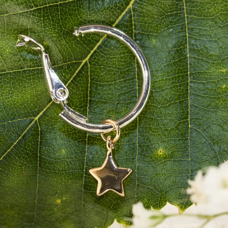 ΣΚΟΥΛΑΡΙΚΙΑ EAR SENSE TWO TONE STAR HOOP 20mm ES 121