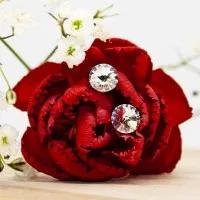 ΣΚΟΥΛΑΡΙΚΙΑ EAR SENSE CRYSTAL RIVOLI 24ss ES 13 ΣΚΟΥΛΑΡΙΚΙΑ EAR SENSE CRYSTAL RIVOLI 24ss ES 13
