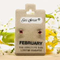 ΣΚΟΥΛΑΡΙΚΙΑ EAR SENSE FEBRUARY SILVER BIRTHSTONE ES 2 ΣΚΟΥΛΑΡΙΚΙΑ EAR SENSE FEBRUARY SILVER BIRTHSTONE ES 2