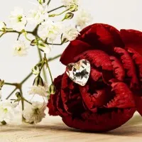ΣΚΟΥΛΑΡΙΚΙΑ EAR SENSE CRYSTAL HEART ES 25 ΣΚΟΥΛΑΡΙΚΙΑ EAR SENSE CRYSTAL HEART ES 25