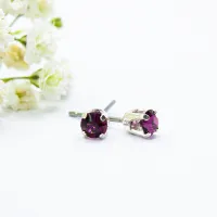ΣΚΟΥΛΑΡΙΚΙΑ EAR SENSE FEBRUARY SILVER BIRTHSTONE ES 2 ΣΚΟΥΛΑΡΙΚΙΑ EAR SENSE FEBRUARY SILVER BIRTHSTONE ES 2