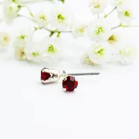 ΣΚΟΥΛΑΡΙΚΙΑ EAR SENSE JANUARY SILVER BIRTHSTONE ES 1