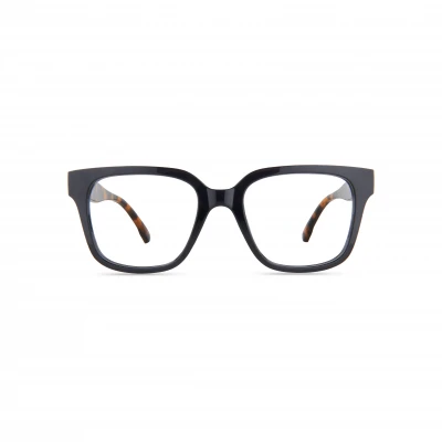 ΓΥΑΛΙΑ ΠΡΕΣΒΥΩΠΙΑΣ NORDICVISION SALEM