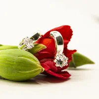 ΣΚΟΥΛΑΡΙΚΙΑ EAR SENSE CZ 878188 (SIVER HOOP) ΣΚΟΥΛΑΡΙΚΙΑ EAR SENSE CZ 878188 (SIVER HOOP)