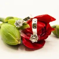 ΣΚΟΥΛΑΡΙΚΙΑ EAR SENSE CZ 878188 (SIVER HOOP) ΣΚΟΥΛΑΡΙΚΙΑ EAR SENSE CZ 878188 (SIVER HOOP)