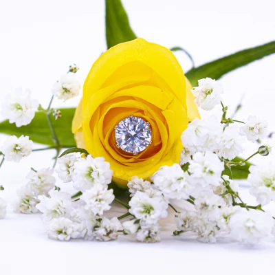 ΣΚΟΥΛΑΡΙΚΙΑ EAR SENSE CZ 871899 (6mm GOLD)