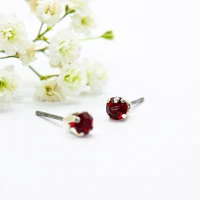 ΣΚΟΥΛΑΡΙΚΙΑ EAR SENSE JANUARY SILVER BIRTHSTONE ES 1