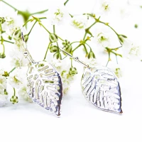 ΣΚΟΥΛΑΡΙΚΙΑ EAR SENSE SILVER LEAF FISH HOOK ES 111 ΣΚΟΥΛΑΡΙΚΙΑ EAR SENSE SILVER LEAF FISH HOOK ES 111